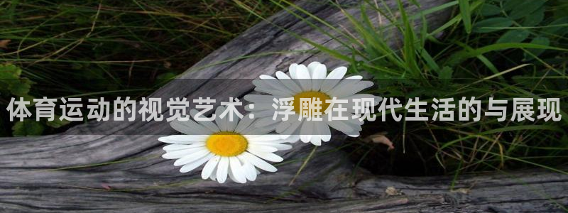 vsport体育官网下载招商电话号码是多少啊：体育运动的视觉