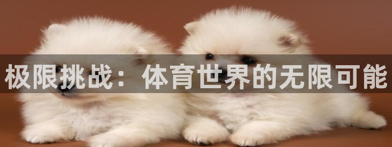 vsport体育官网下载联系电话：极限挑战：体育世界