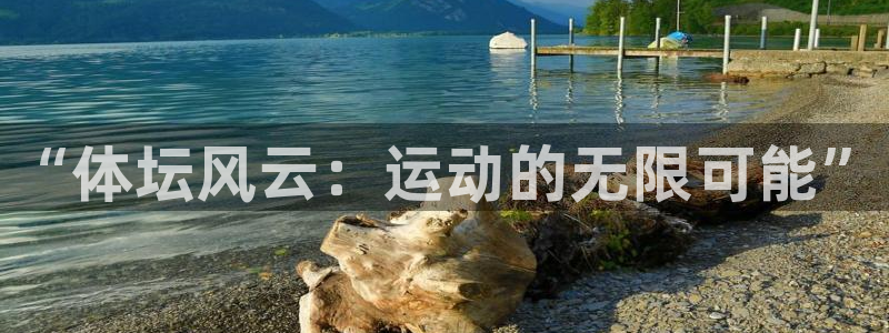 vsport体育官网下载招商电话是多少啊：“体坛风云