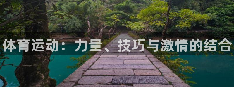 vsport体育官网下载平台APP：体育运动：力量、