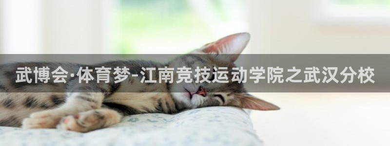 vsport体育官方正版app娱乐是那个系列的台子：