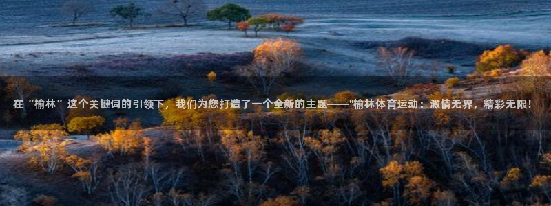 vsport体育官方正版app集团：在“榆林”这个关键词的引