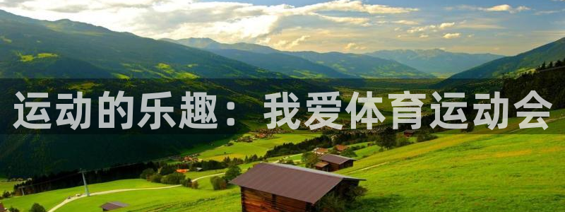 vsport体育官网下载平台是正规平台吗安全吗