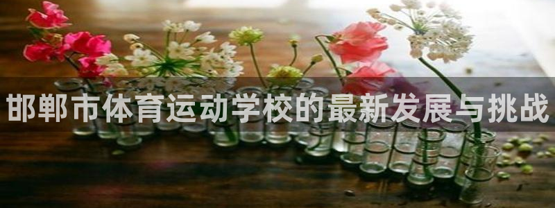 vsport体育官网下载招商电话号码查询：邯郸市体育运动学校
