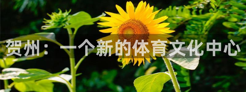 vsport体育官方正版app娱乐下载：贺州：一个新