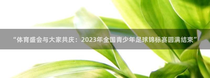 德国vsport体育官方正版app集团