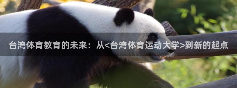vsport体育官方正版app科技：台湾体育教育的未来：从<