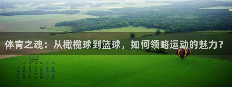 vsport体育官网下载娱乐：体育之魂：从橄榄球到篮球，如何