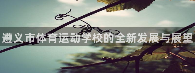 vsport体育官方集团官网