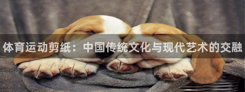 vsport体育官网下载平台是正规平台吗知乎：体育运
