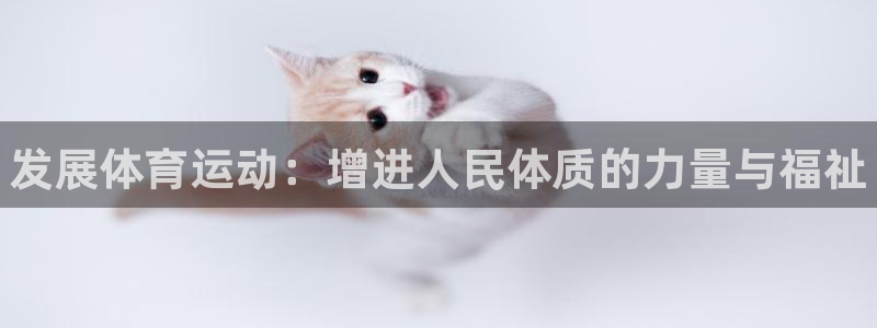 vsport体育官方正版app五金厂：发展体育运动：