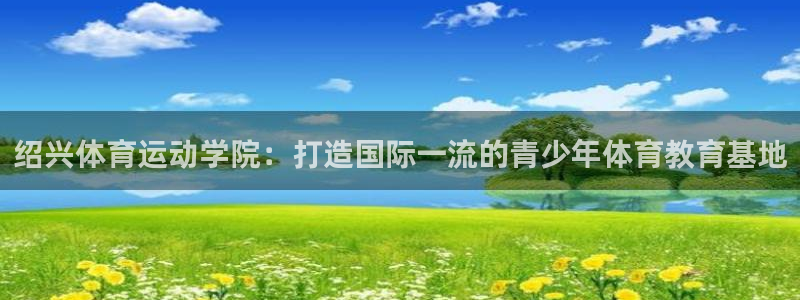 vsport体育官方正版app集团E.ON：绍兴体育