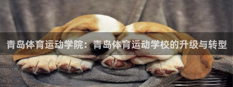 vsport体育官网下载招商电话是多少啊：青岛体育运
