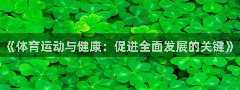 vsport体育官方正版app集团logo：《体育运