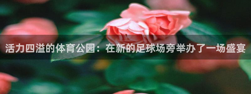vsport体育官方正版app新能源：活力四溢的体育
