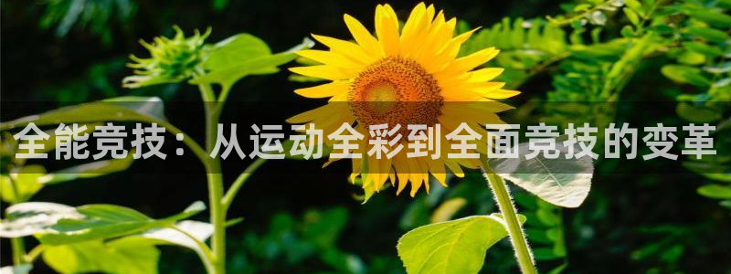 vsport体育官网下载：全能竞技：从运动全彩到全面