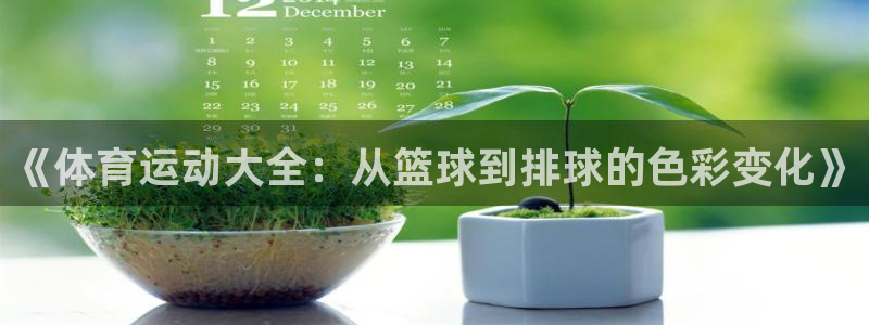 vsport体育官方正版app神州：《体育运动大全：