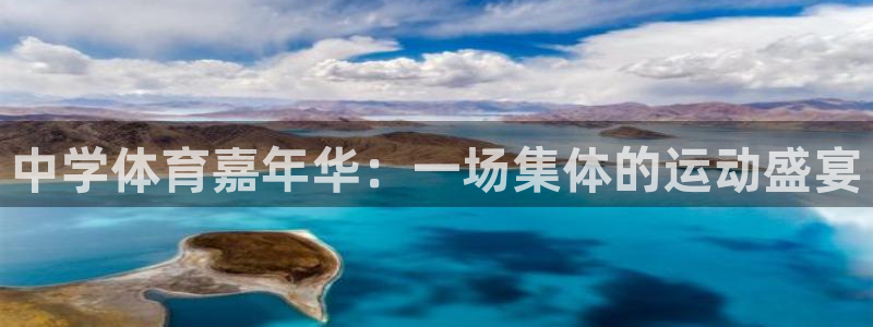 vsport体育官方正版app娱乐：中学体育嘉年华：