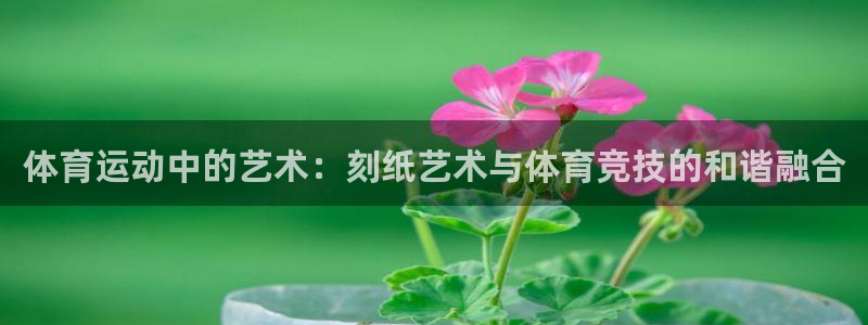 vsport体育官网下载平台注册要钱吗是真的吗：体育运动中的