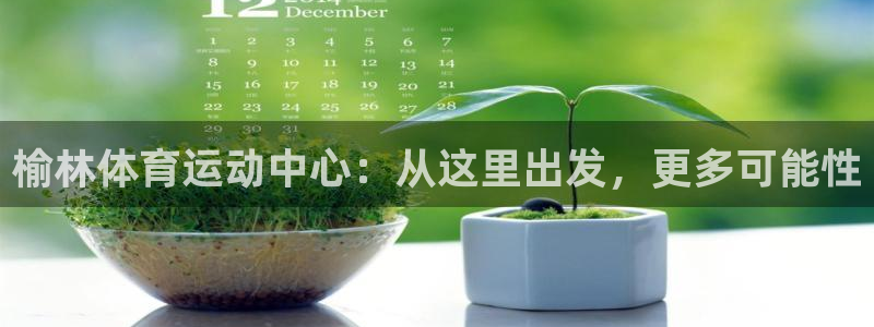 vsport体育官方正版app娱乐首页官网下载：榆林