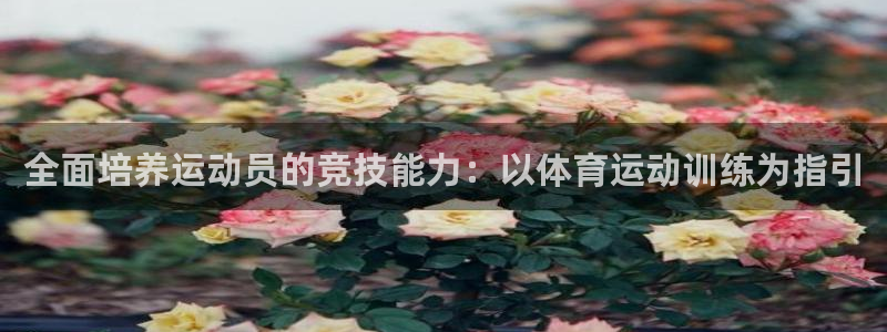 vsport体育官方正版app娱乐是那个系列的台子：全面培养
