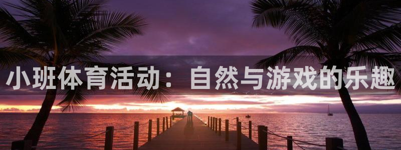 vsport体育官方正版app开户：小班体育活动：自然与游戏