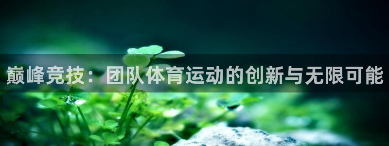 vsport体育官网下载招商电话地址：巅峰竞技：团队体育运动