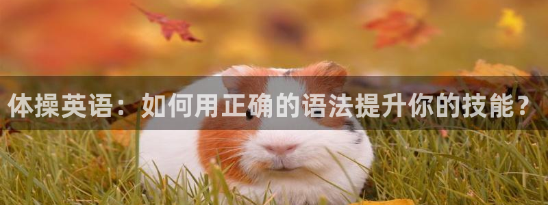 德国vsport体育官方正版app集团：体操英语：如