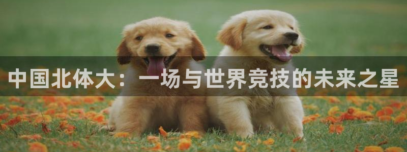 vsport体育官网下载娱乐：中国北体大：一场与世界竞技的未