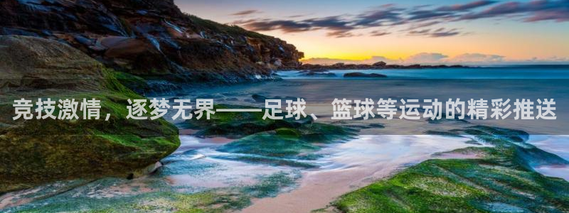 vsport体育官网下载平台是正规平台吗：竞技激情，
