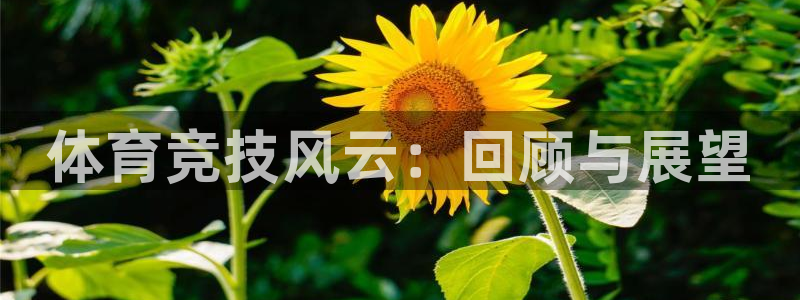 vsport体育官方正版app神州