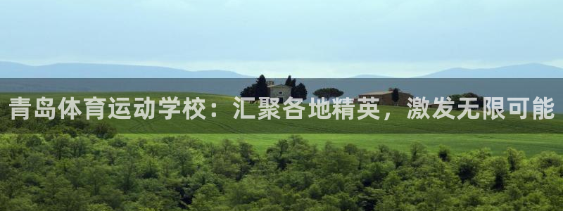 vsport体育官方集团官网