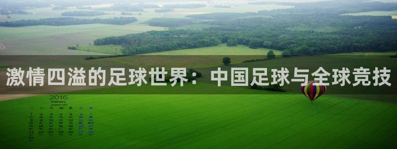 vsport体育官方正版app娱乐是那个系列的台子：