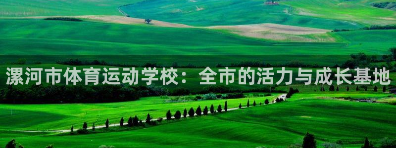 vsport体育官方正版app集团官网首页：漯河市体育运动学