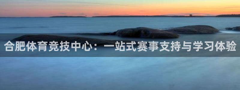 vsport体育官网下载注册：合肥体育竞技中心：一站