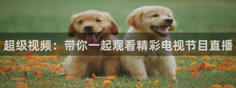 球神直播免费足球直播：超级视频：带你一起观看精彩电视节目直播