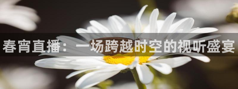 球神直播体育免费直播：春宵直播：一场跨越时空的视听盛宴