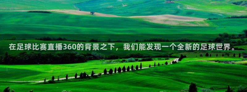 球神直播体育在线观看网站