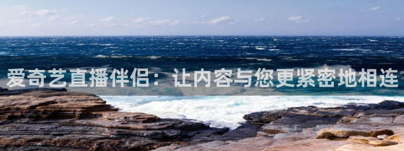 球神直播网