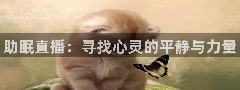 qszb球神直播：助眠直播：寻找心灵的平静与力量