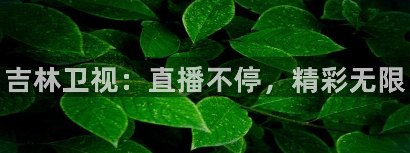 球神直播：吉林卫视：直播不停，精彩无限