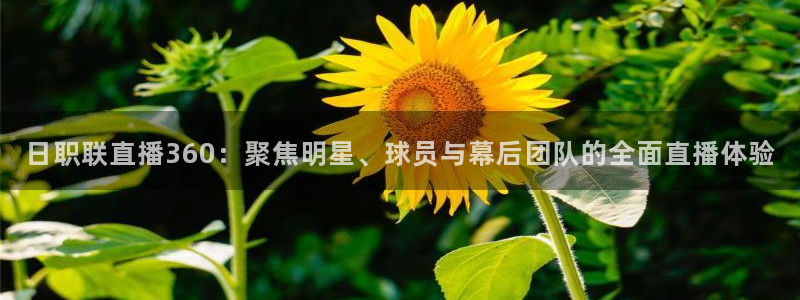 黑白直播免费高清看球神器