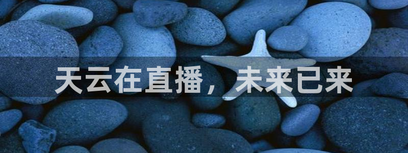 nba直播球神