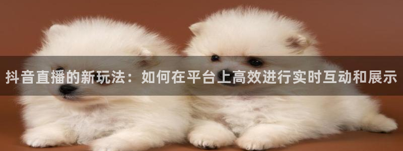 球神直播体育足球：抖音直播的新玩法：如何在平台上高效进行实时互动和展示
