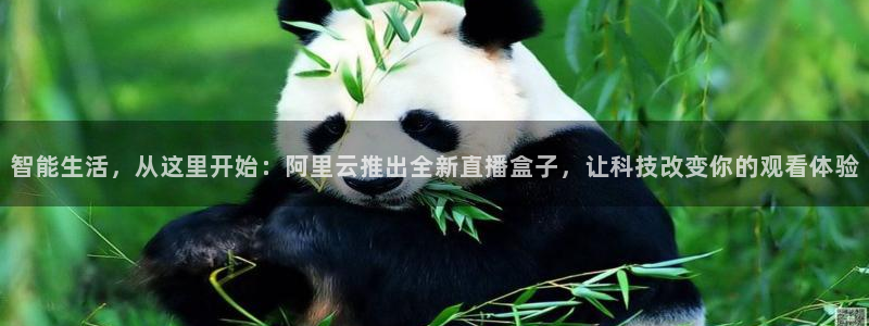 球神直播足球直播在线观看：智能生活，从这里开始：阿里云推出全新直播盒子，让科技改变你的观看体验
