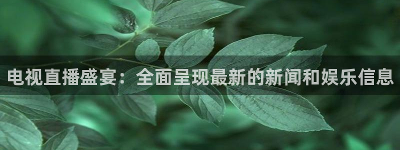 球神直播免费体育直播：电视直播盛宴：全面呈现最新的新闻和娱乐信息