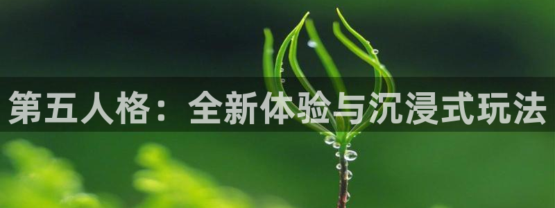 球神直播nba：第五人格：全新体验与沉浸式玩法